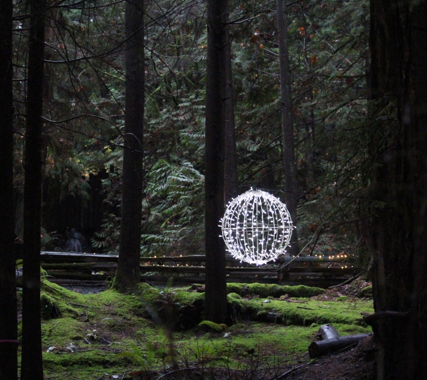 Globe of lights near the base of a tree